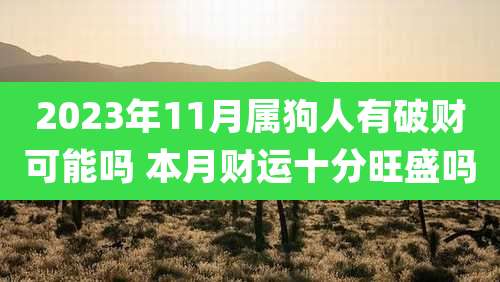 2023年11月属狗人有破财可能吗 本月财运十分旺盛吗