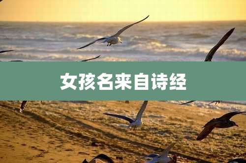 女孩名来自诗经