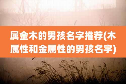 属金木的男孩名字推荐(木属性和金属性的男孩名字)