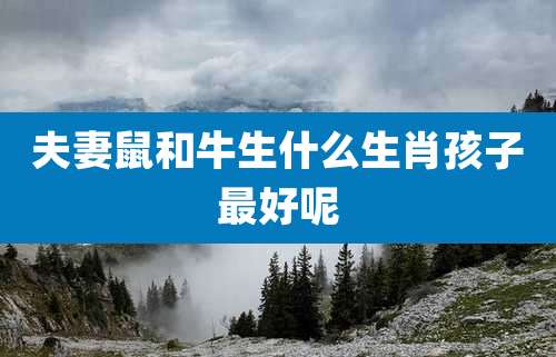 夫妻鼠和牛生什么生肖孩子最好呢
