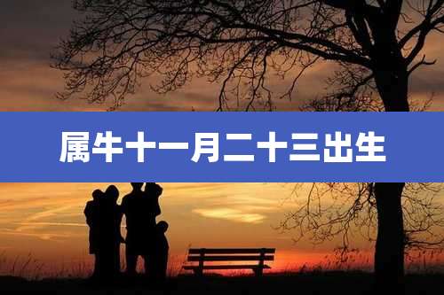 属牛十一月二十三出生