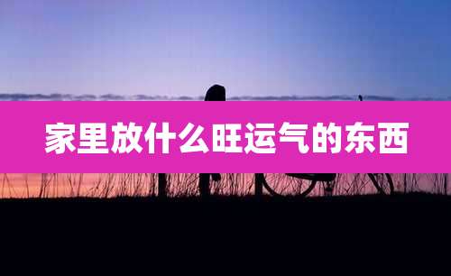 家里放什么旺运气的东西