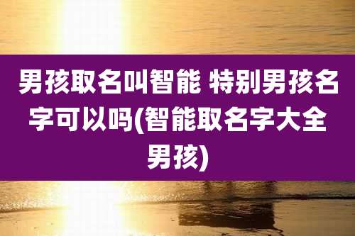 男孩取名叫智能 特别男孩名字可以吗(智能取名字大全男孩)