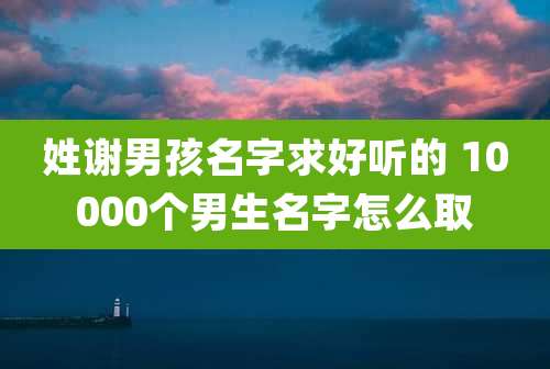 姓谢男孩名字求好听的 10000个男生名字怎么取