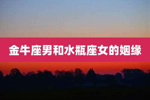 金牛座男和水瓶座女的姻缘