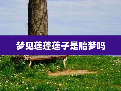 梦见莲蓬莲子是胎梦吗