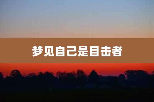 梦见自己是目击者