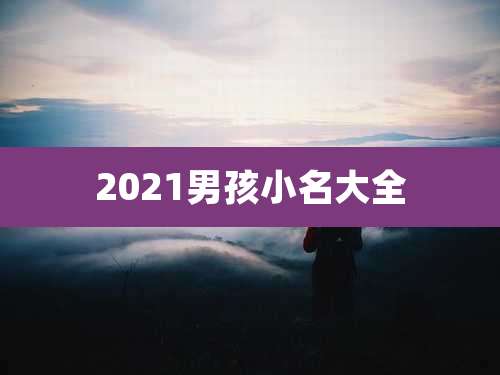 2021男孩小名大全