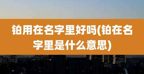 铂用在名字里好吗(铂在名字里是什么意思)