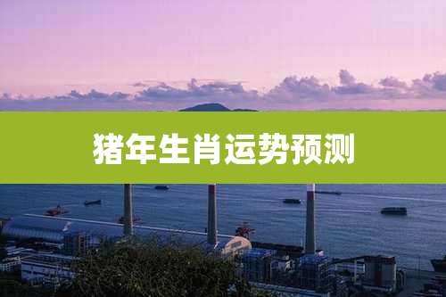 猪年生肖运势预测