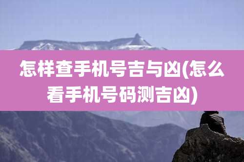 怎样查手机号吉与凶(怎么看手机号码测吉凶)