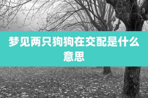 梦见两只狗狗在交配是什么意思