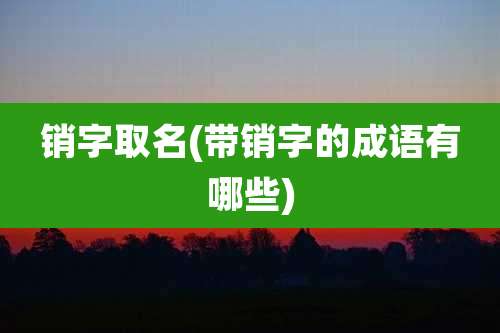销字取名(带销字的成语有哪些)
