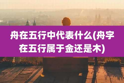 舟在五行中代表什么(舟字在五行属于金还是木)