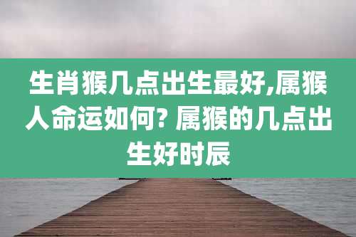 生肖猴几点出生最好,属猴人命运如何? 属猴的几点出生好时辰