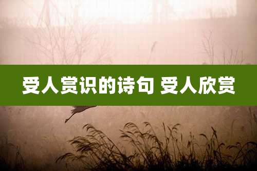 受人赏识的诗句 受人欣赏