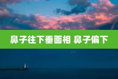 鼻子往下垂面相 鼻子偏下
