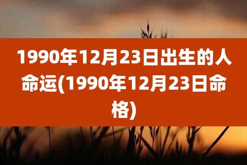 1990年12月23日出生的人命运(1990年12月23日命格)
