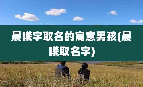 晨曦字取名的寓意男孩(晨曦取名字)