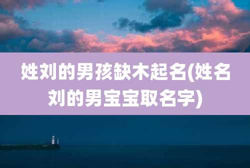 姓刘的男孩缺木起名(姓名刘的男宝宝取名字)