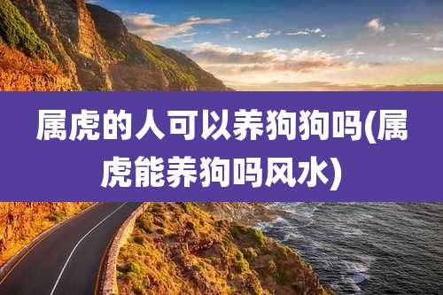 属虎的人可以养狗狗吗(属虎能养狗吗风水)