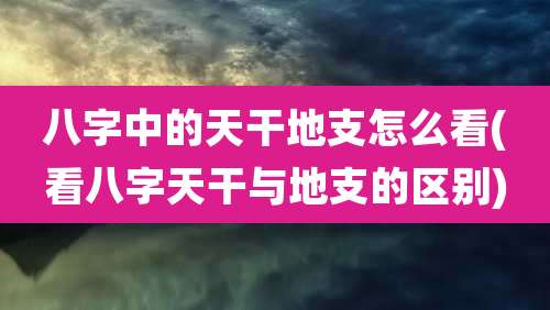 八字中的天干地支怎么看(看八字天干与地支的区别)