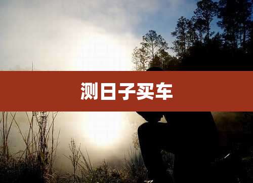 测日子买车