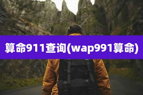 算命911查询(wap991算命)