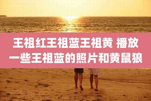 王祖红王祖蓝王祖黄 播放一些王祖蓝的照片和黄鼠狼