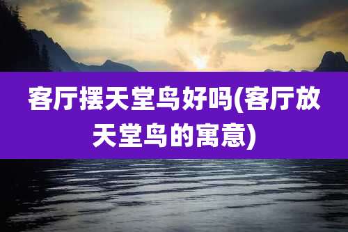 客厅摆天堂鸟好吗(客厅放天堂鸟的寓意)