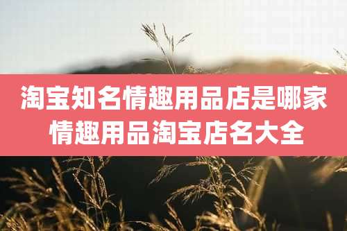 淘宝知名***店是哪家 ***淘宝店名大全