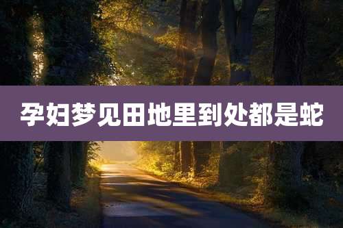 孕妇梦见田地里到处都是蛇