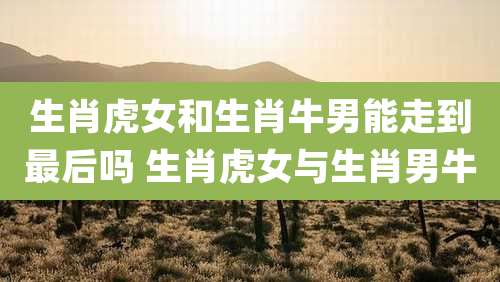 生肖虎女和生肖牛男能走到最后吗 生肖虎女与生肖男牛