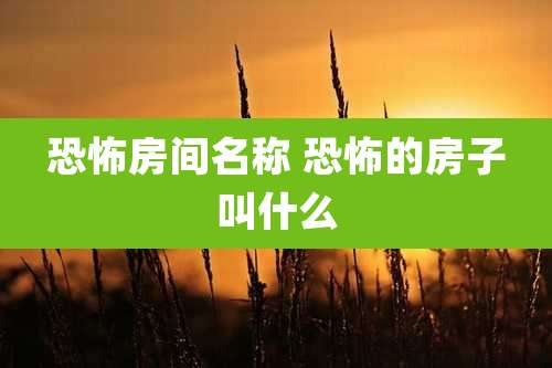 恐怖房间名称 恐怖的房子叫什么