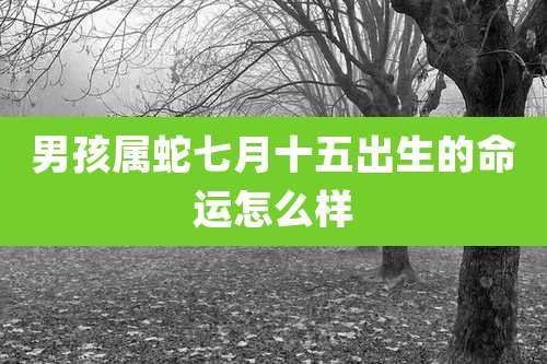 男孩属蛇七月十五出生的命运怎么样