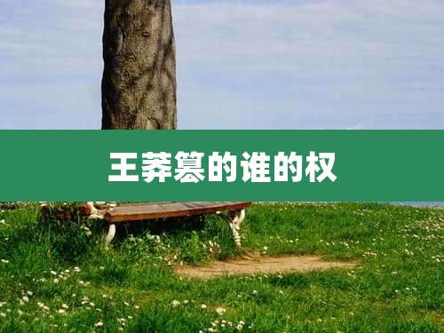 王莽篡的谁的权