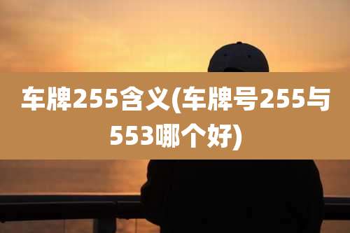 车牌255含义(车牌号255与553哪个好)
