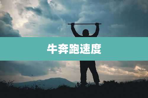 牛奔跑速度