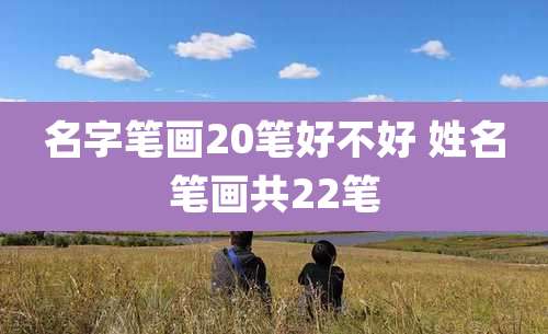 名字笔画20笔好不好 姓名笔画共22笔