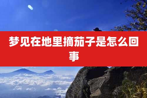 梦见在地里摘茄子是怎么回事