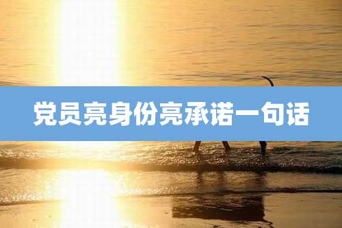 党员亮身份亮承诺一句话