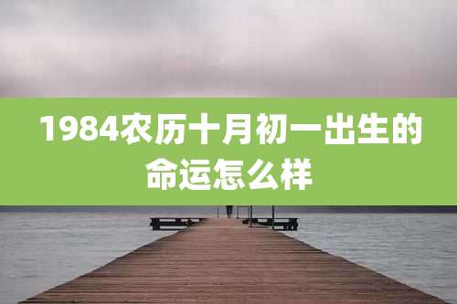 1984农历十月初一出生的命运怎么样