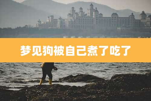 梦见狗被自己煮了吃了