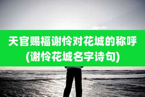 天官赐福谢怜对花城的称呼(谢怜花城名字诗句)