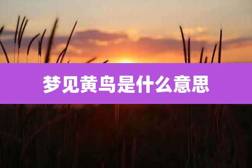 梦见黄鸟是什么意思