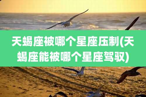 天蝎座被哪个星座压制(天蝎座能被哪个星座驾驭)