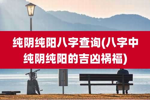 纯阴纯阳八字查询(八字中纯阴纯阳的吉凶祸福)