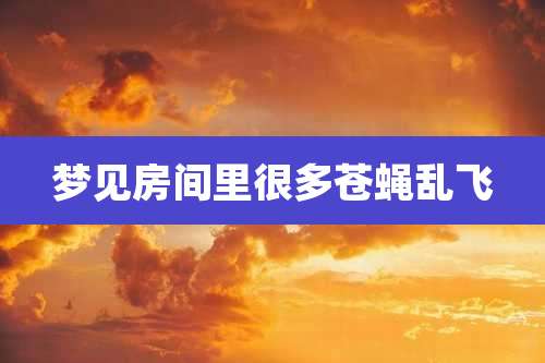 梦见房间里很多苍蝇乱飞