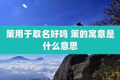 策用于取名好吗 策的寓意是什么意思