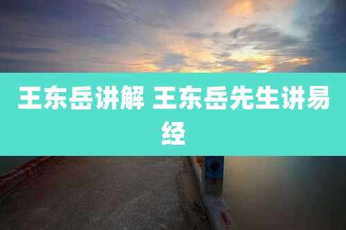 王东岳讲解 王东岳先生讲易经